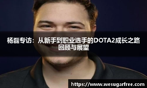 杨磊专访：从新手到职业选手的DOTA2成长之路回顾与展望